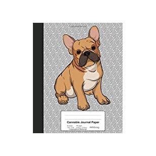 ELEVATE MIDDLE GRADE SCIENCE 2019 ENGINEERING DESIGN NOTEBOOK EARTH GRADE 6