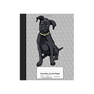 Starch-based Nanomaterials (SpringerBriefs in Food, Health, and Nutrition)