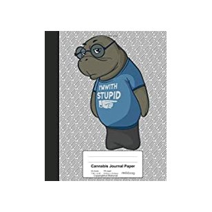 Schizophrenia and Psychoses in Later Life: New Perspectives on Treatment, Research, and Policy