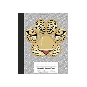 Public Banks: Decarbonisation, Definancialisation and Democratisation