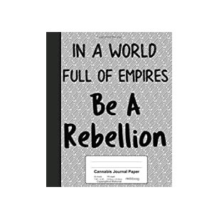 The Novel and the Problem of New Life