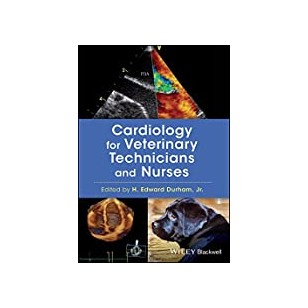 Nurse Word Search: 100 Puzzles of Word Search for Nurses and Nursing Students with Over 500 Medical Terms