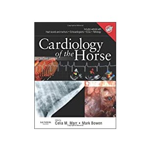 Perioperative Care of the Orthopedic Patient