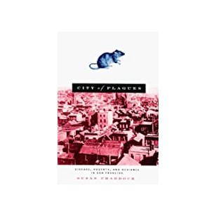 NYSTCE CST Students with Disabilities 060 (Nystce (New York State Teacher Certification Exams))