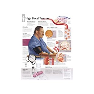 Merriam-Webster's Medical Speller, 3rd Edition