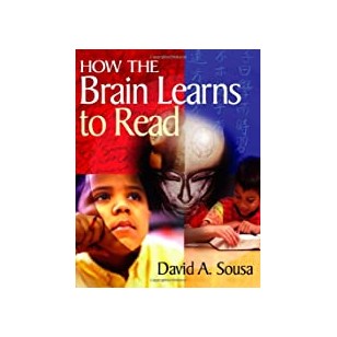 The Glorious Deeds of Purna: A Translation and Study of the Purnavadana (Routledge Critical Studies in Buddhism)
