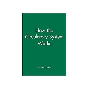 Hospital Arts - A Sound Approach