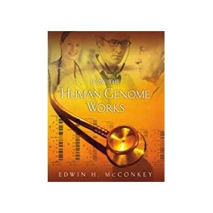 Merck Index: 13th edition