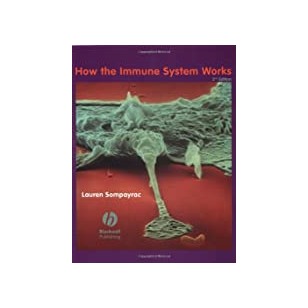 Medieval Warfare: A History