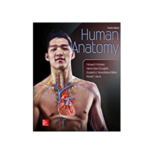 Mergers in the Global Markets: A Comparative Approach to the Competition and National Security Laws among the US, EU, and China