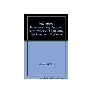 The Hong Kong Legal System